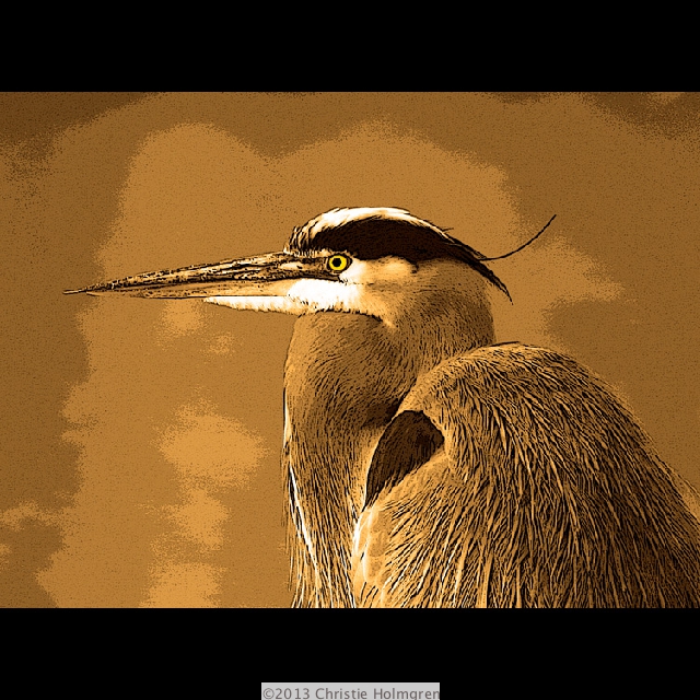 Great<br/>Blue Heron<br/>Sepia
