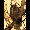 Great<br/>Horned<br/>Owl Sepia