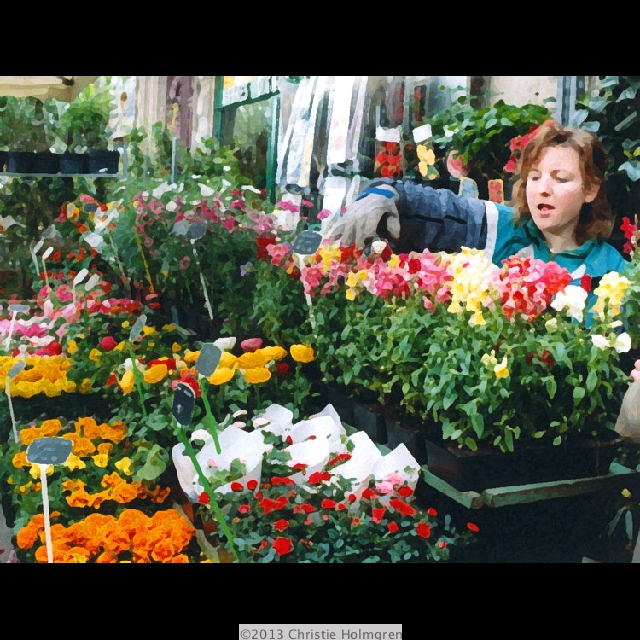 Paris<br/>Flower<br/>Market