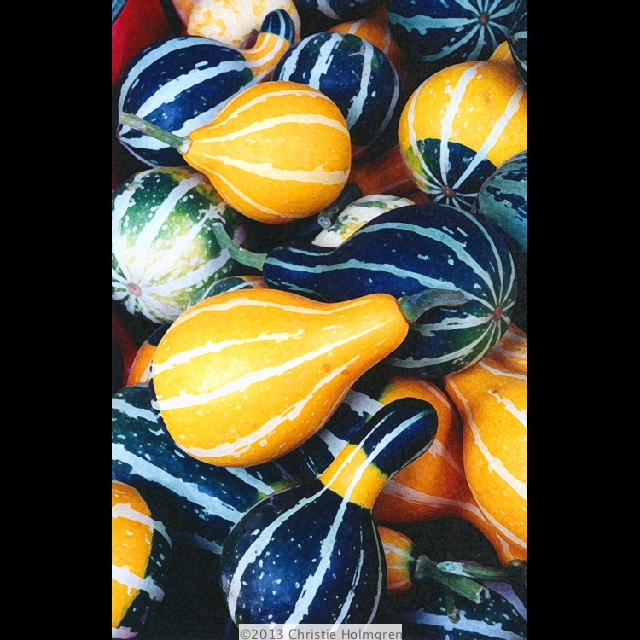 Gourds 2