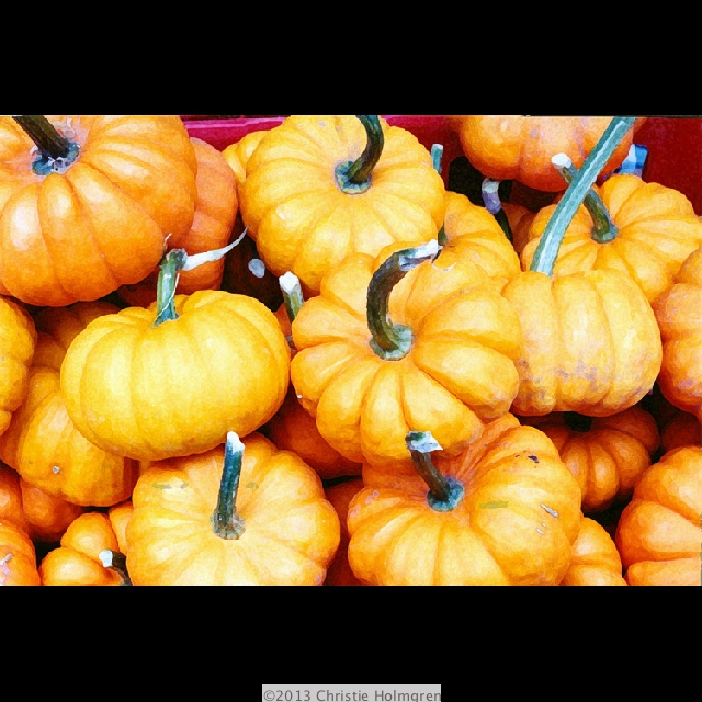 Mini<br/>Pumpkins