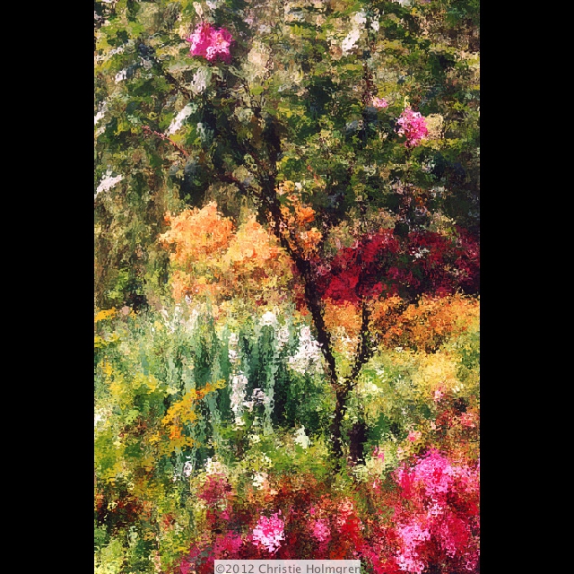 Monet's<br/>Garden 1