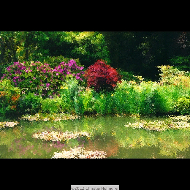 Monet's<br/>Pond 6