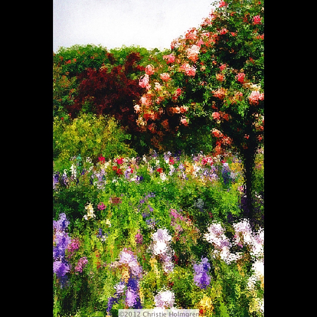 Monet's<br/>Rose<br/>Tree