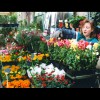 Paris<br/>Flower<br/>Market