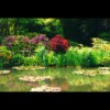 Monet's<br/>Pond 6