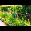 Monet's<br/>Garden<br/>Walk