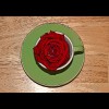 Red<br/>Rose<br/>in Cup