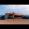 Shipwreck<br/>Baja, Mexico