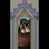 Male<br/>Wood Duck<br/>in Window