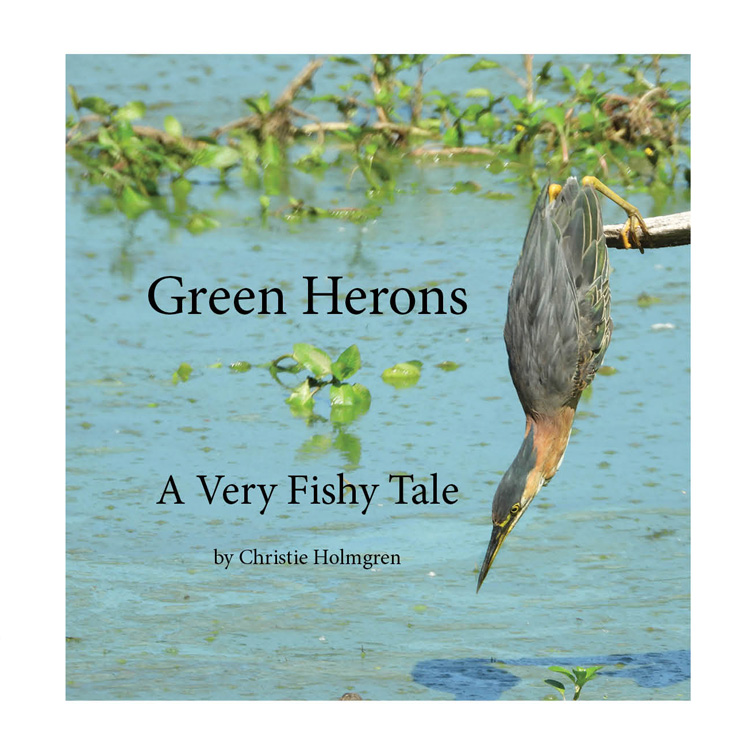 Green Herons: A Very Fishy Tale