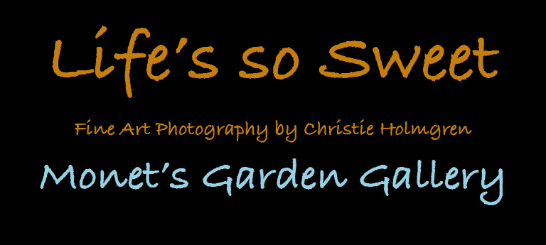 Monet's Garden Logo