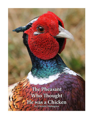 The Pheasant Who Thought
                He was a Chicken