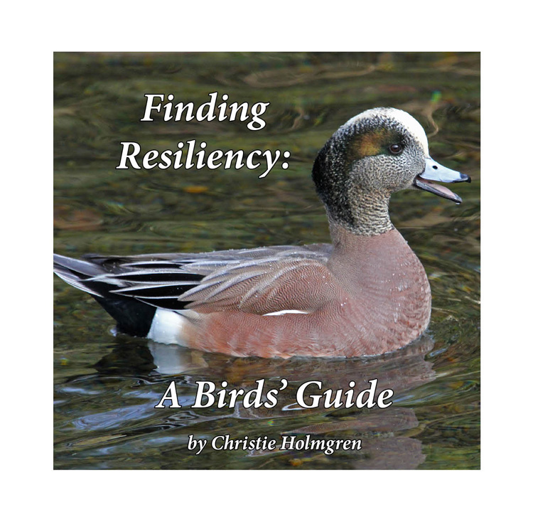 Finding
        Resiliency